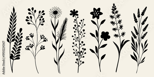 A collection of delicate black silhouette floral and botanical illustrations