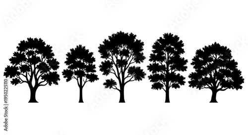 Black silhouettes of various trees.