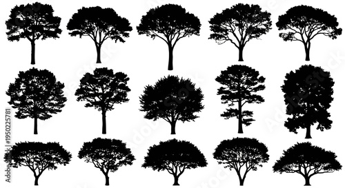 Collection of various tree silhouettes.