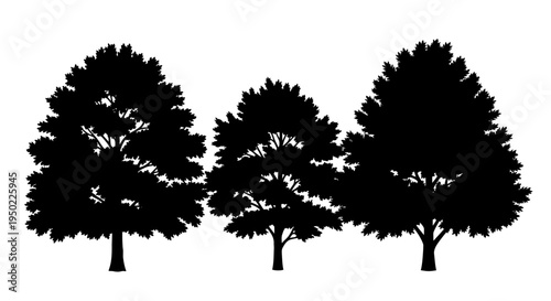 Three black silhouettes of trees.
