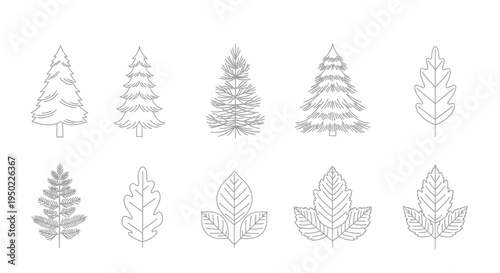 A collection of tree and leaf illustrations.