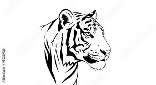 A powerful vector illustration of a wild tiger and lion head silhouette, designed as a fierce feline mascot or black tattoo logo representing nature's big cat carnivore power