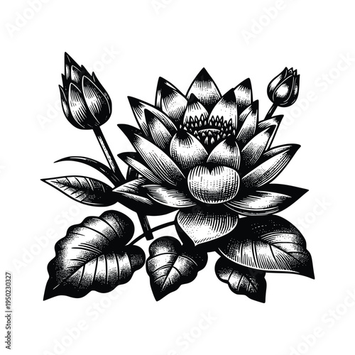 Detailed Engraving Style Lotus Flower with Buds and Leaves