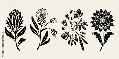 Elegant botanical illustration featuring four different plant arrangements