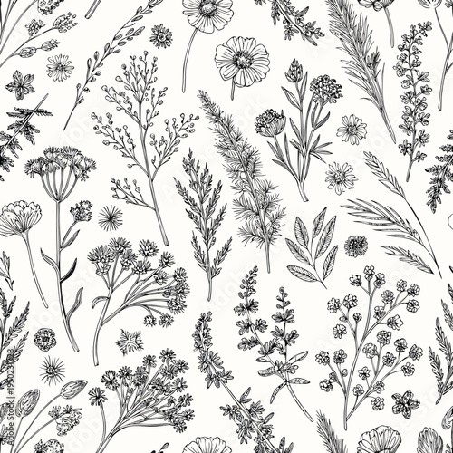 Detailed botanical illustration of various wildflowers and foliage