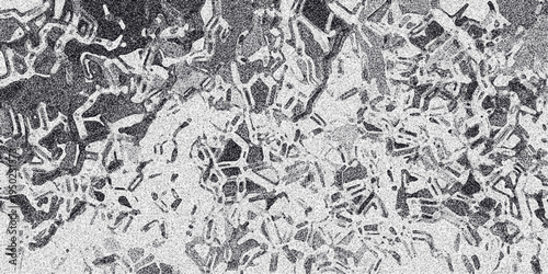 Abstract grayscale pattern resembling ice crystals or fractured glass with a grainy texture and intricate interconnected shapes for a cold or fragmented background