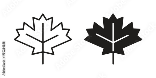 Maple leaf icon line vector illustration in solid color design