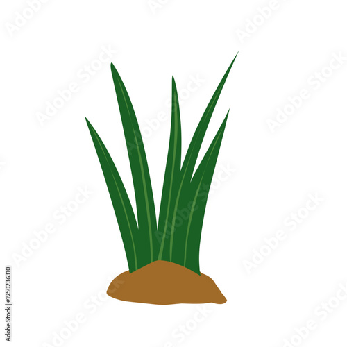 Vector green grass growing in fertile soil. Green grass illustration. Simple grass design