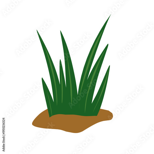 Vector green grass growing in fertile soil. Green grass illustration. Simple grass design
