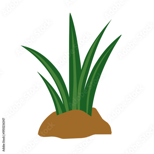 Vector green grass growing in fertile soil. Green grass illustration. Simple grass design