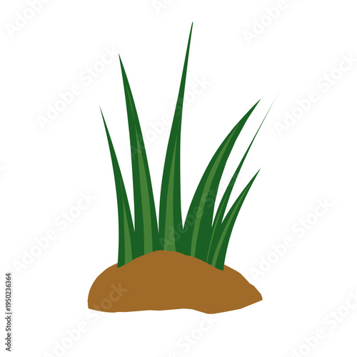 Vector green grass growing in fertile soil. Green grass illustration. Simple grass design