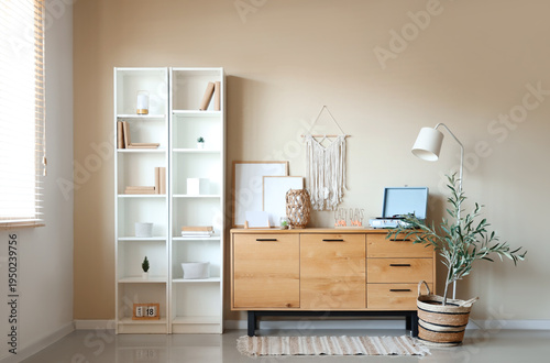 Interior of beautiful room with chest of drawers, shelving unit and olive tree