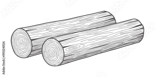 Two rough wood logs with visible grain and rings timber lumber forest