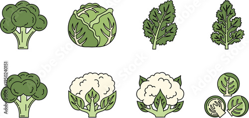 Healthy Vegetables Set with Broccoli, Cauliflower, Cabbage, and Kale for Organic Farming and Plant-Based Eating