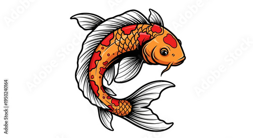 Vibrant orange koi fish swimming isolated on white background