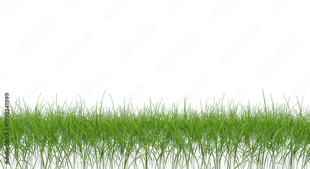 Obraz premium A vibrant green grass landscape on transparent background
