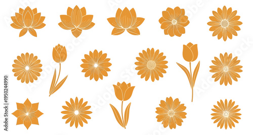 A collection of vibrant orange floral illustrations on a white background
