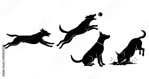 A playful sequence of dogs running and jumping for a bouncing ball