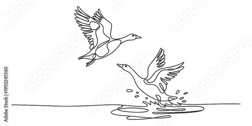Continuous single line drawing of two wild geese flying and splashing in the water of a lake