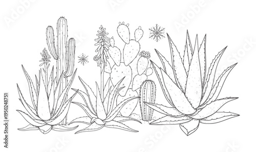 Line of desert succulents and cacti with snowflakes aloe cactus prickly pear