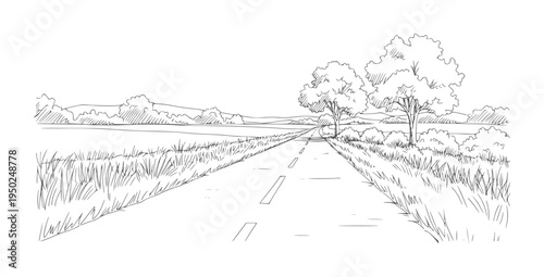 Of a country road winding through grassy fields and trees landscape