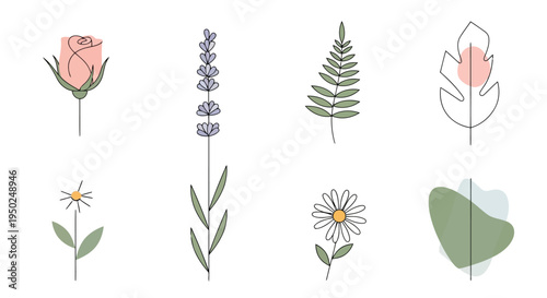 A collection of various flowers and plants illustrated in a minimalist style.