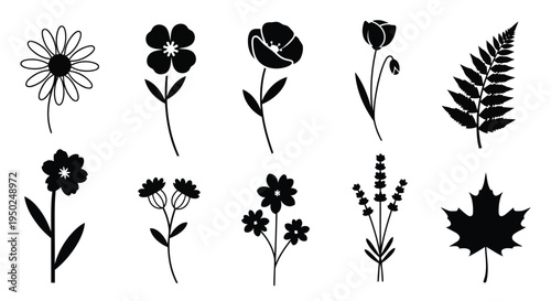 A collection of various flowers and plants in black and white line art illustration