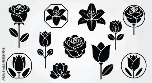 A collection of various flowers with green leaves and stems in black and white