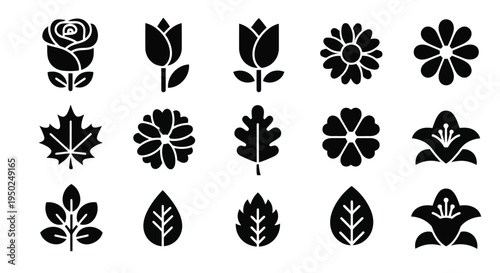 A collection of various intricate and artistic floral designs in black and white