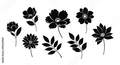 A collection of various flowers with different petal shapes and sizes