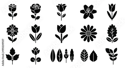 A collection of various intricate and elegant floral designs in black and white