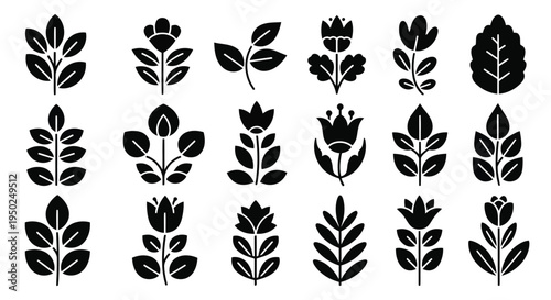 A collection of various intricate and elegant floral designs and patterns.