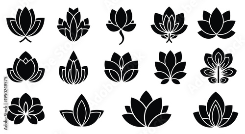 A collection of various intricate and elegant lotus flower designs in black and white