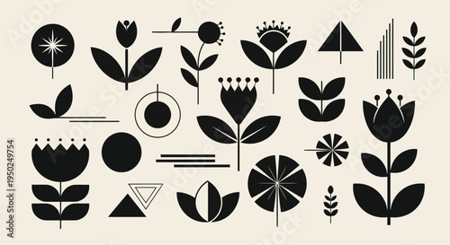 A collection of various leaf shapes and patterns in black and white