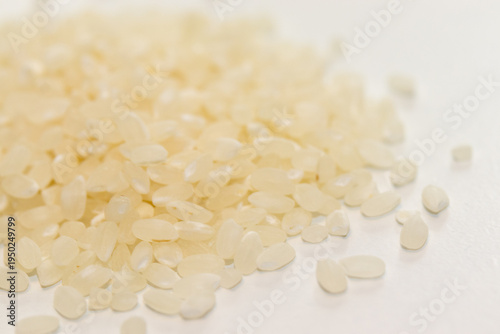 たくさんの米粒