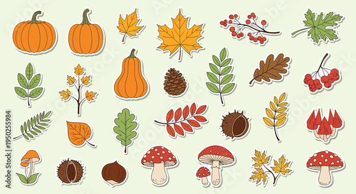 Decorative set of autumn stickers featuring colorful pumpkins, variety of mushrooms, fallen leaves, pinecones, and forest nuts on a light background.