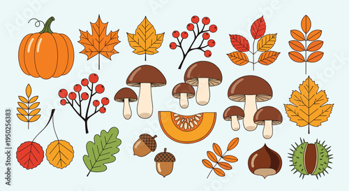 Comprehensive autumn harvest set featuring a large pumpkin, various mushroom species, colorful fallen leaves, acorns, and chestnuts for fall projects.