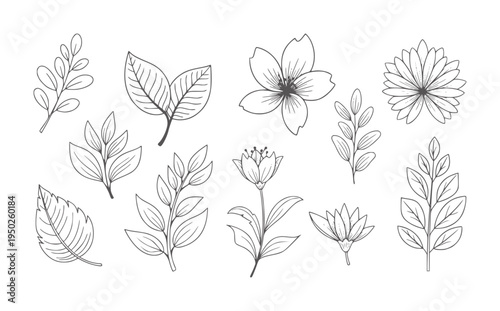 Canvas Print Collection of hand drawn botanical and flowers in outline style