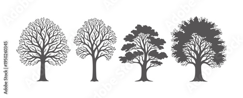 Four dark grey silhouette trees with branches white