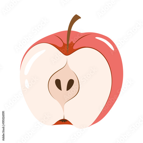 Half sliced red apple vector illustration