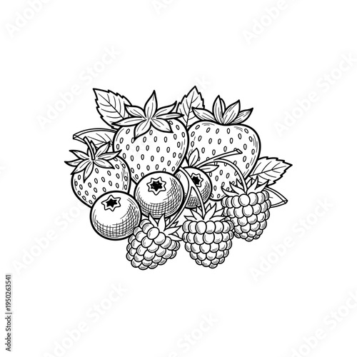 Various fresh berries like strawberries blueberries raspberries and blackberries in sketch style