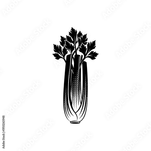 Celery stalk with green leaves black and white illustration