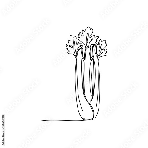 Single line drawing of fresh celery stalk with leaves
