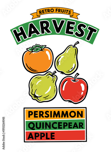 Retro fruits harvest design. Persimmon apple pear quince artwork. Vintage fruit market design for t shirt and poster. Local farm food. Fresh fruit.