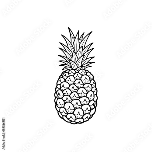 Pineapple fruit hand drawn sketch with detailed texture on white background