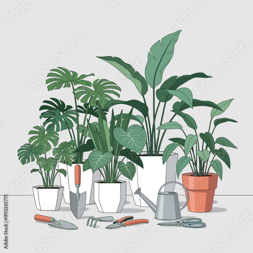 Collection of various houseplants in pots with gardening tools, illustration