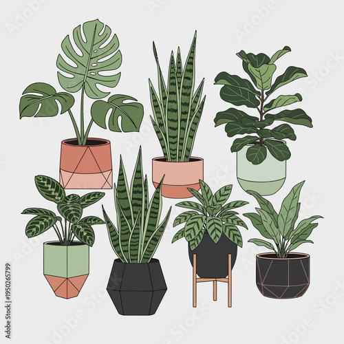 Collection of Various Potted Houseplants in Modern Geometric Planters