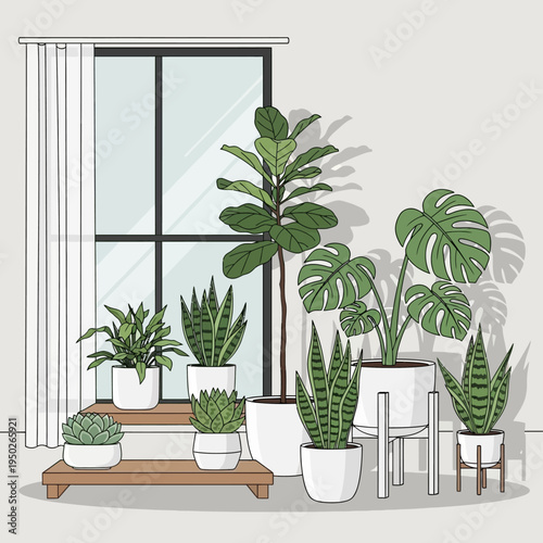 Cozy home interior with various houseplants near a window, creating a green oasis.