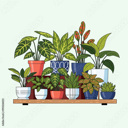 Collection of potted houseplants on a shelf, diverse green foliage, indoor plants
