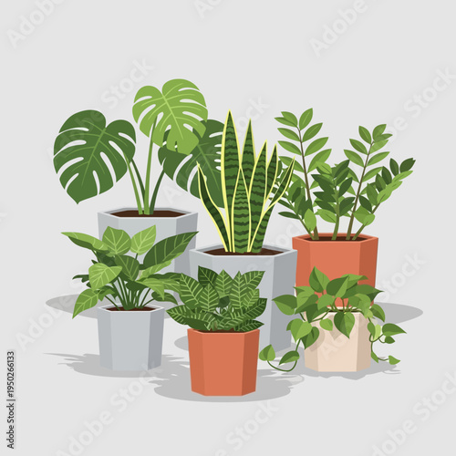 Collection of Potted Houseplants: Monstera, Snake Plant, ZZ Plant, and more